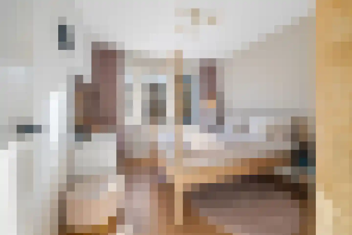 Abdis Evastraat 31 Den Haag thumbnail 36