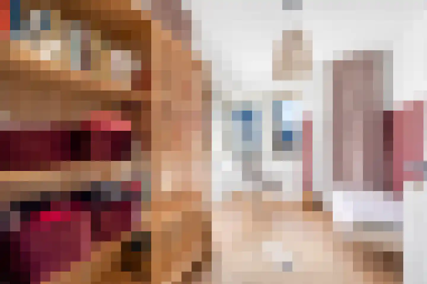 Abdis Evastraat 31 Den Haag thumbnail 38