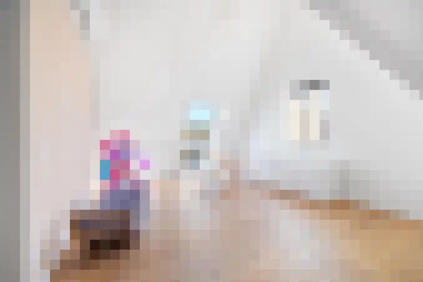 Abdis Evastraat 31 Den Haag thumbnail 43