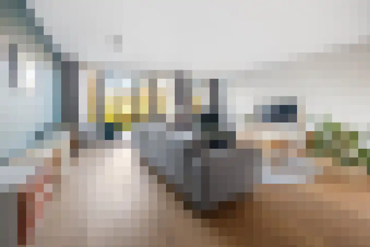 Abdis Evastraat 31 Den Haag thumbnail 8