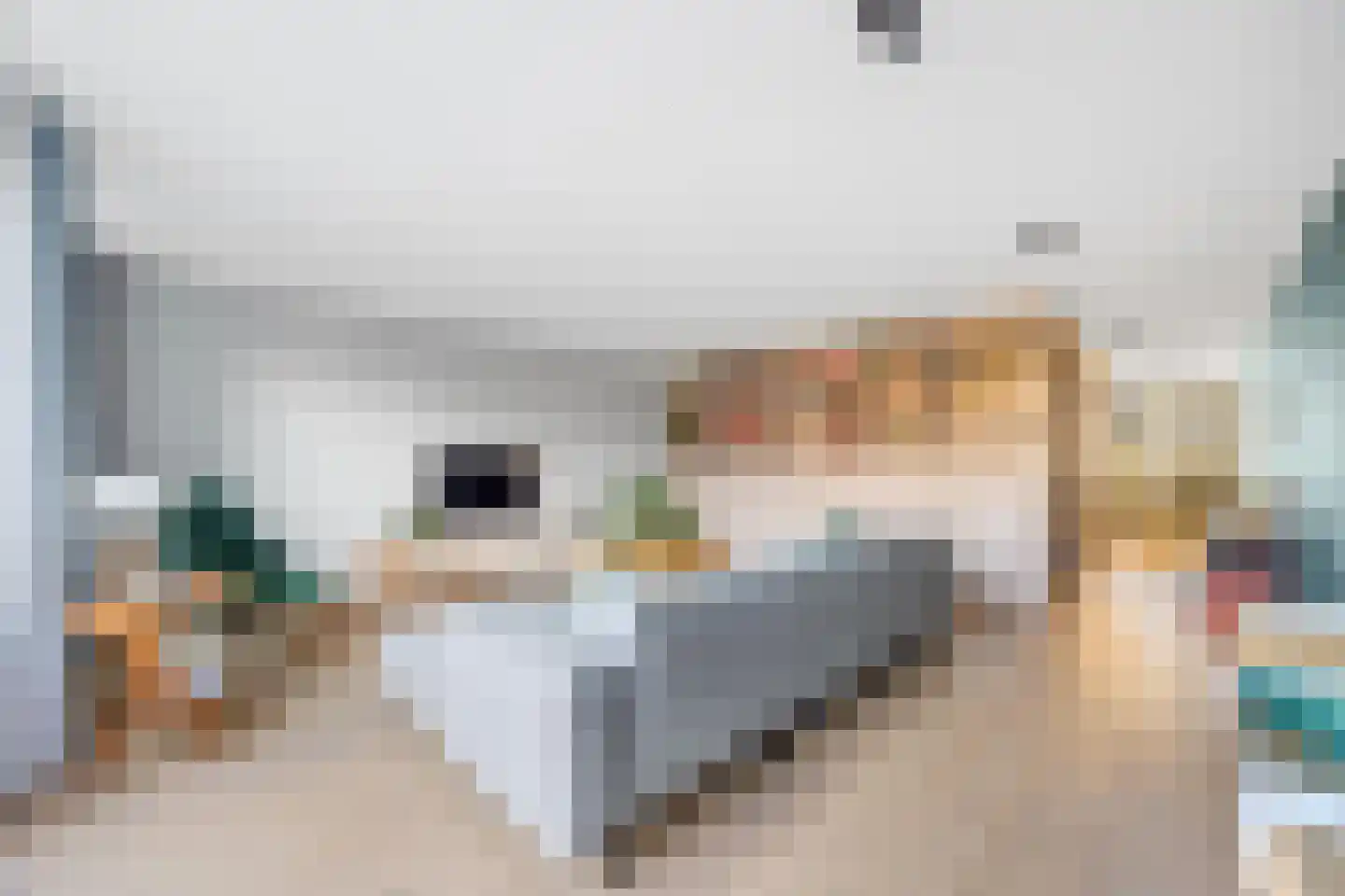 Abdis Evastraat 31 Den Haag thumbnail 9
