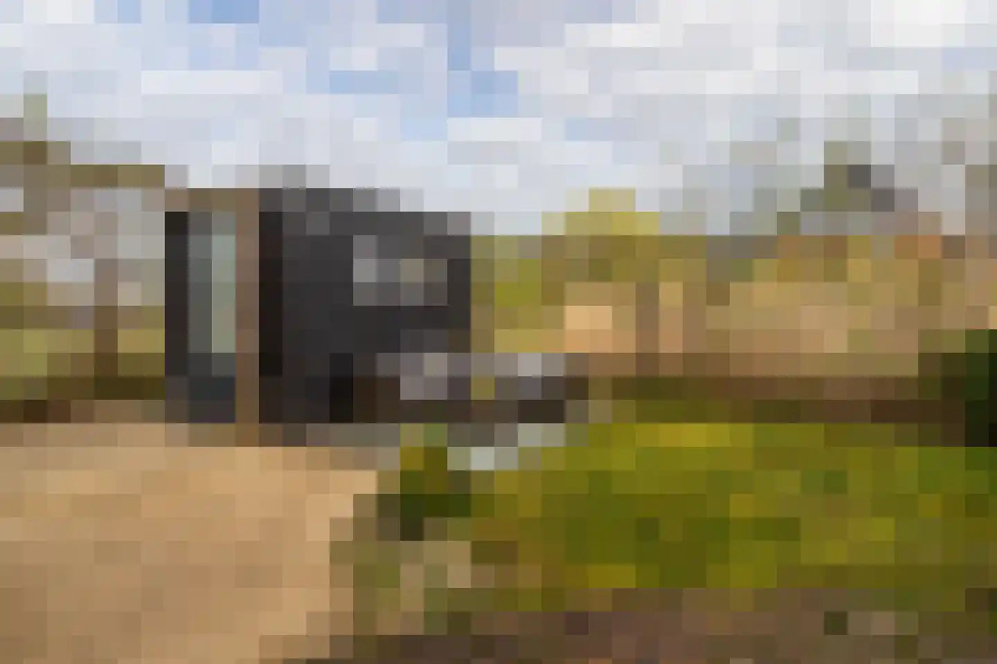 Abdis Evastraat 33 Den Haag thumbnail 20