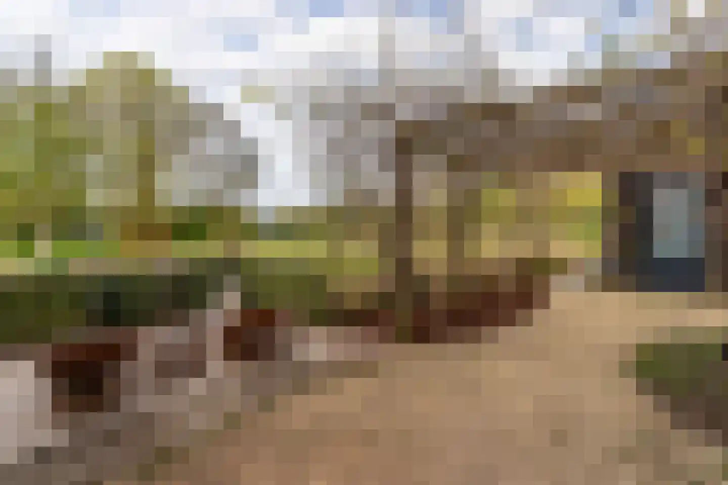 Abdis Evastraat 33 Den Haag thumbnail 25