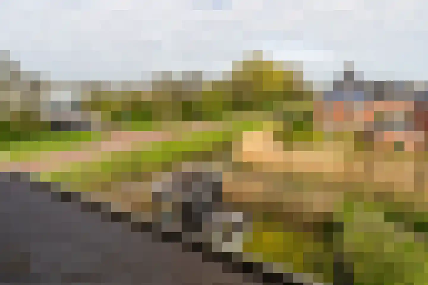 Abdis Evastraat 33 Den Haag thumbnail 26