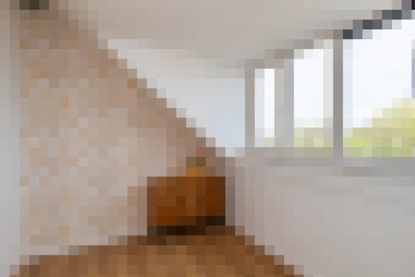 Abdis Evastraat 33 Den Haag thumbnail 38
