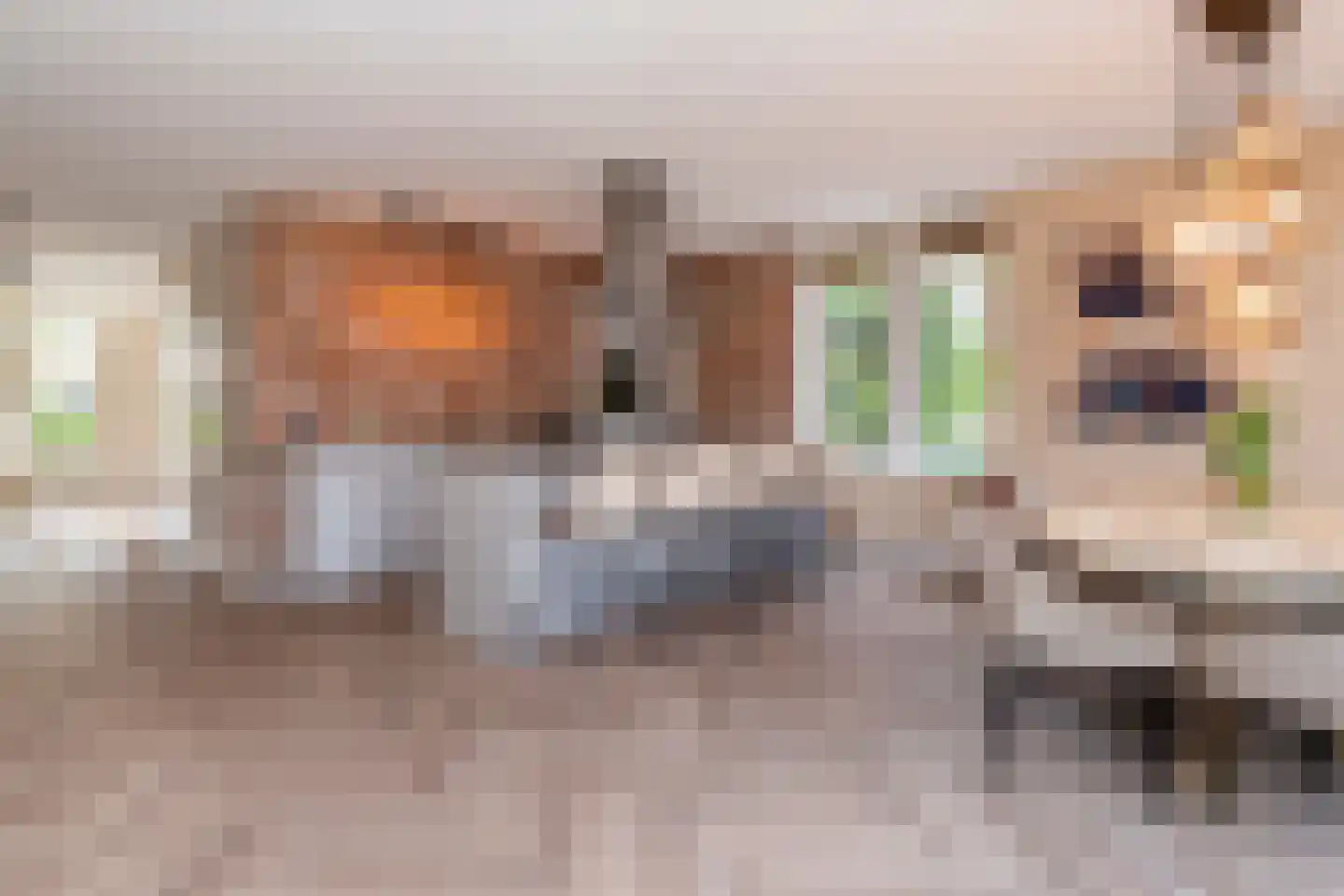 Abdis Evastraat 33 Den Haag thumbnail 4
