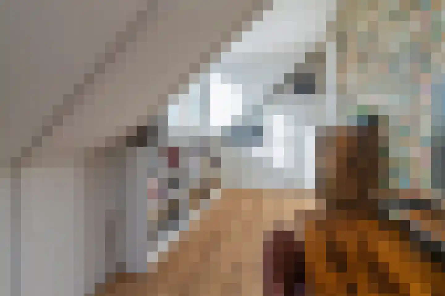 Abdis Evastraat 33 Den Haag thumbnail 40