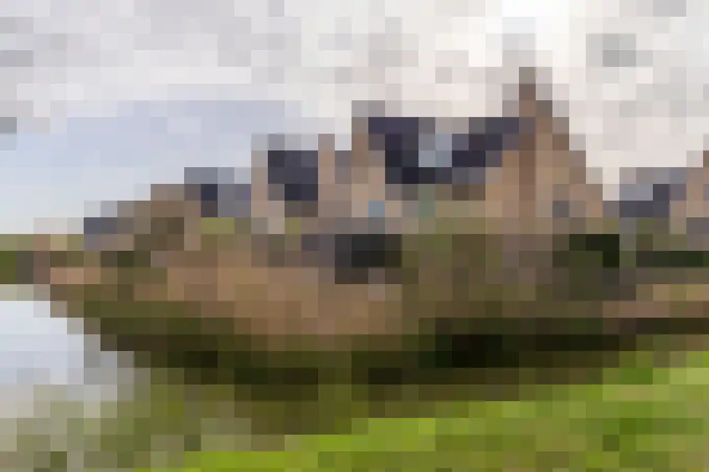 Abdis Evastraat 33 Den Haag thumbnail 49