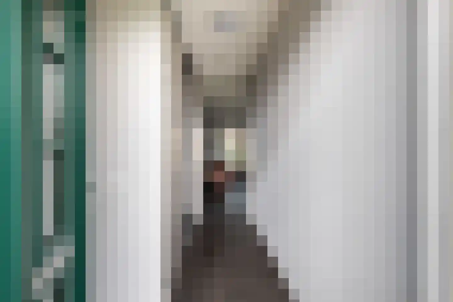 Abdis Immastraat 5 Den Haag thumbnail 11