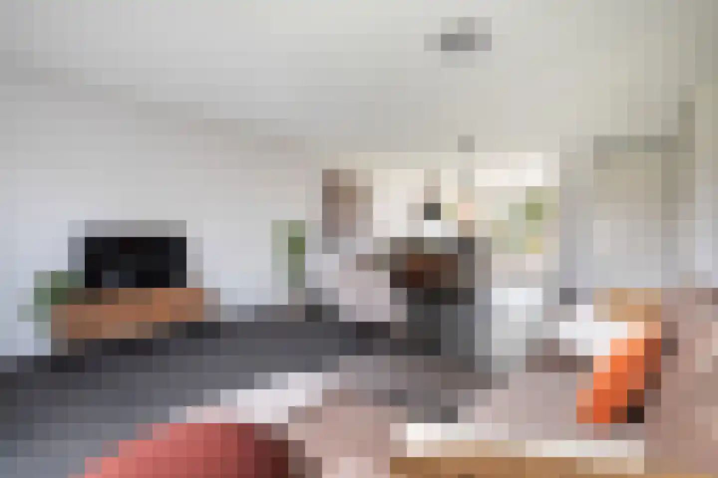 Abdis Immastraat 5 Den Haag thumbnail 14