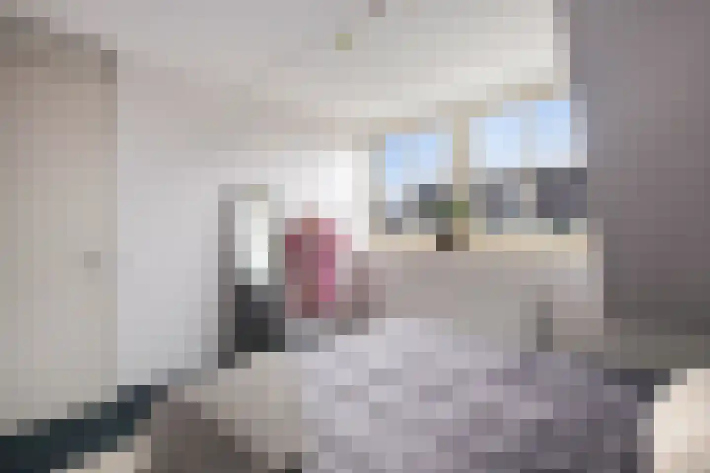 Abdis Immastraat 5 Den Haag thumbnail 30