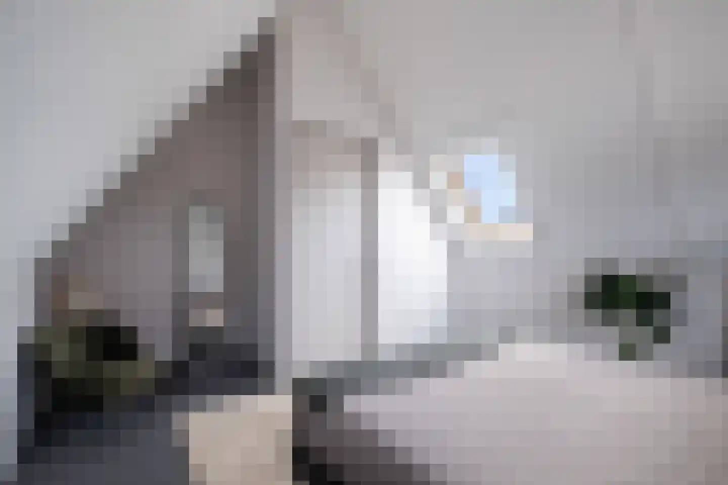 Abdis Immastraat 5 Den Haag thumbnail 46