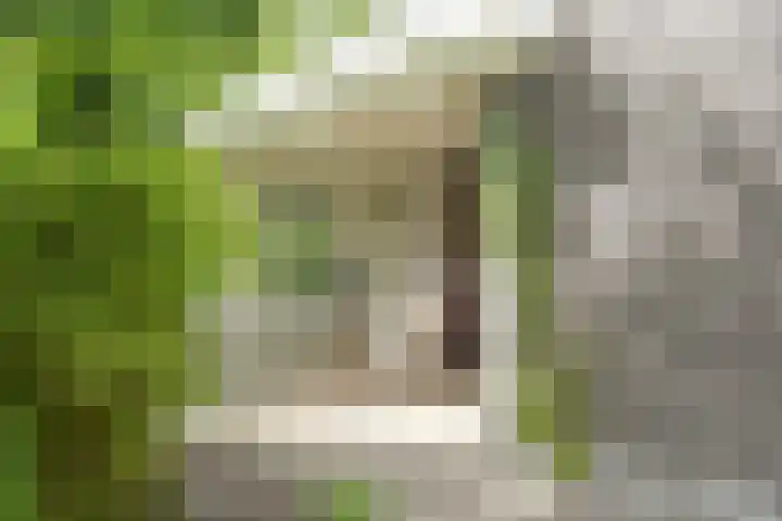 Abdis Johannastraat 28 Den Haag thumbnail 10
