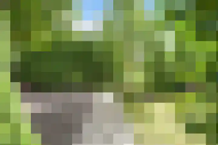 Abdis Johannastraat 28 Den Haag thumbnail 11