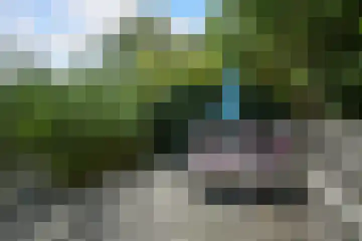 Abdis Johannastraat 28 Den Haag thumbnail 12