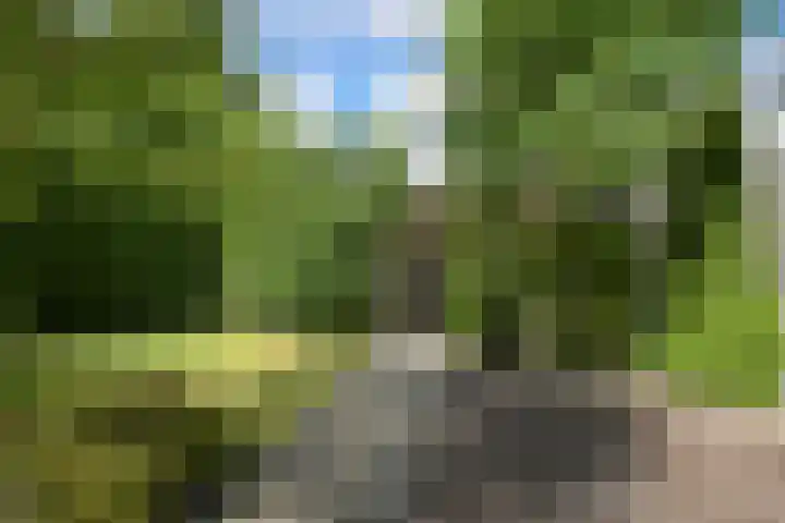 Abdis Johannastraat 28 Den Haag thumbnail 13