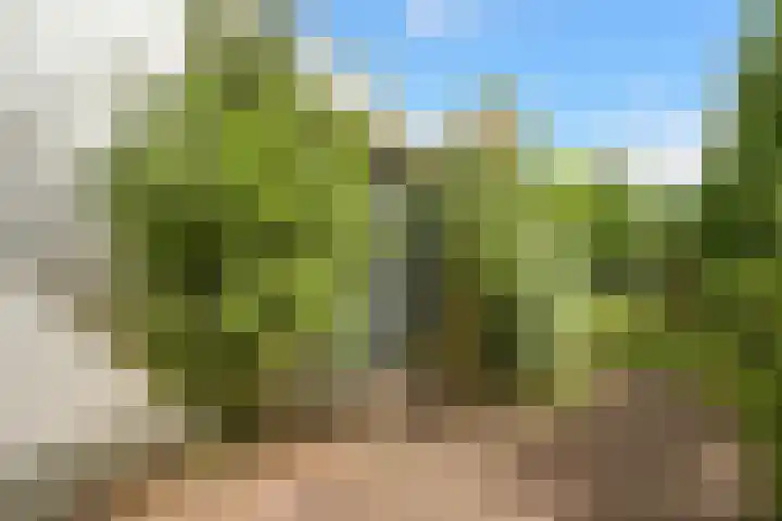 Abdis Johannastraat 28 Den Haag thumbnail 14