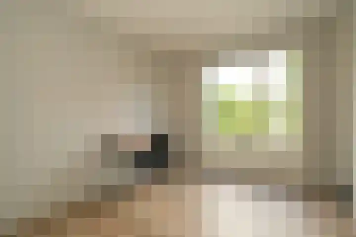 Abdis Johannastraat 28 Den Haag thumbnail 15