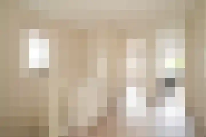 Abdis Johannastraat 28 Den Haag thumbnail 17