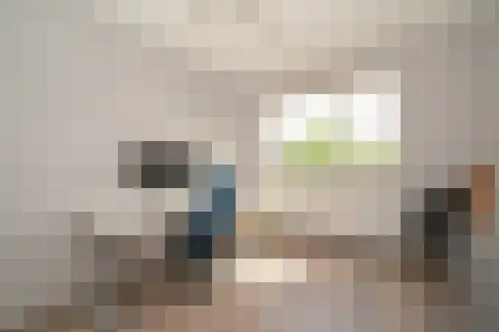 Abdis Johannastraat 28 Den Haag thumbnail 20