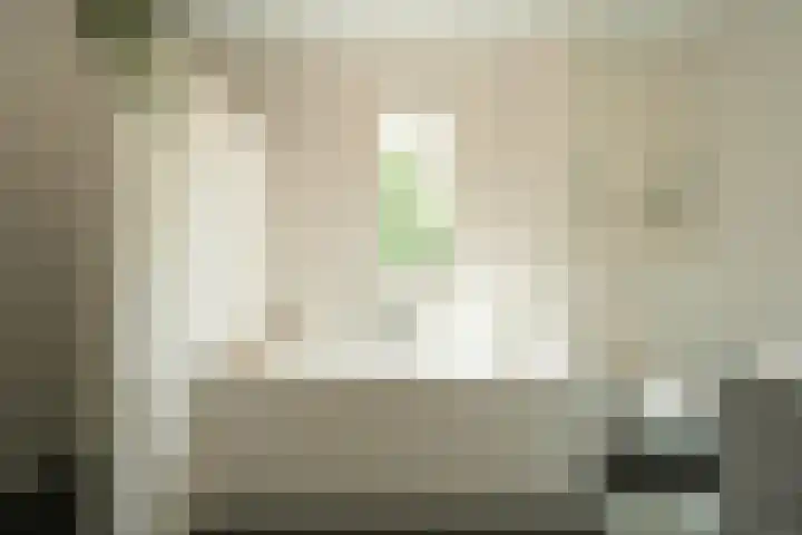 Abdis Johannastraat 28 Den Haag thumbnail 22