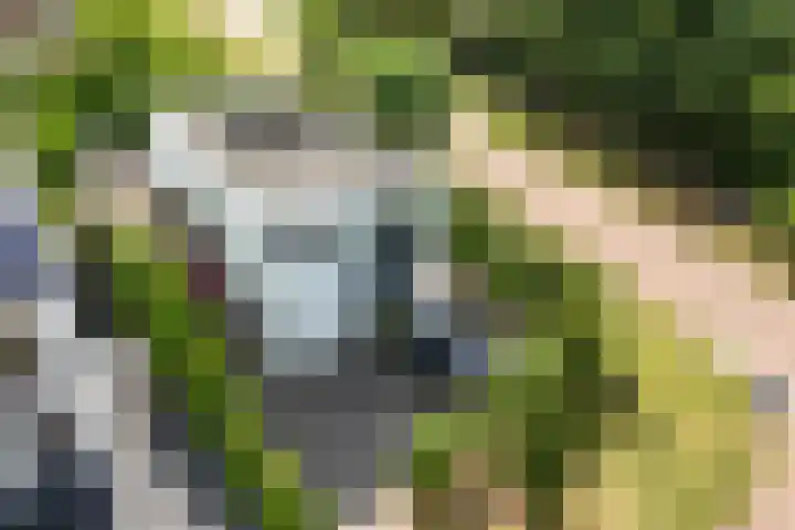Abdis Johannastraat 28 Den Haag thumbnail 26
