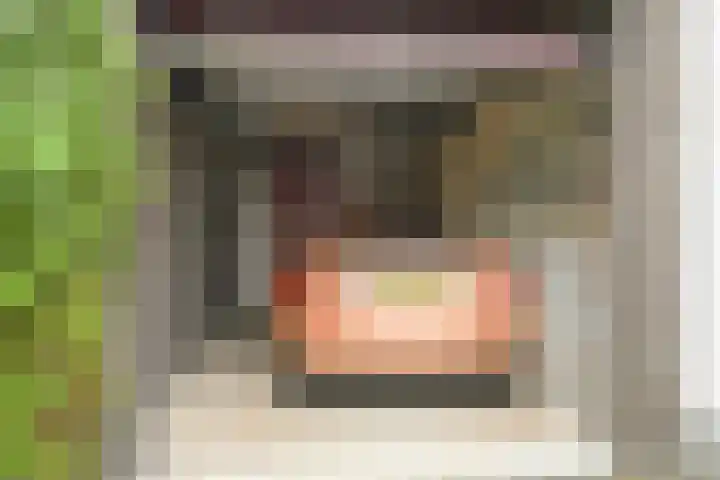 Abdis Johannastraat 28 Den Haag thumbnail 29