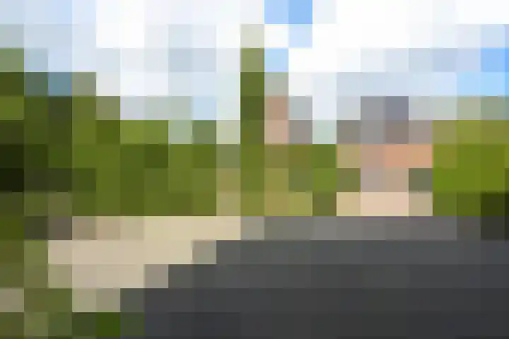 Abdis Johannastraat 28 Den Haag thumbnail 31