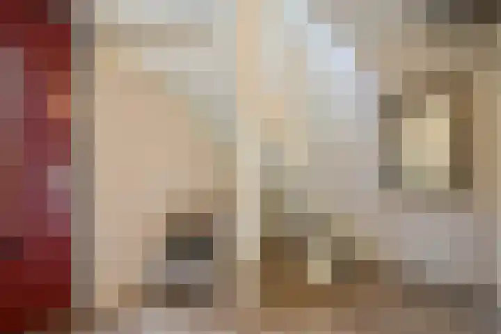 Abdis Johannastraat 28 Den Haag thumbnail 33