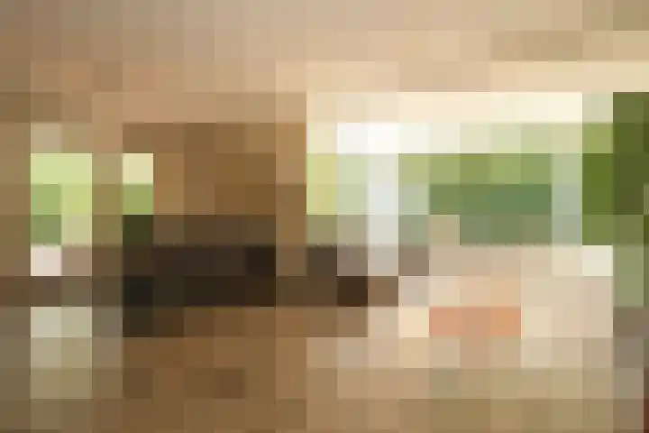 Abdis Johannastraat 28 Den Haag thumbnail 36
