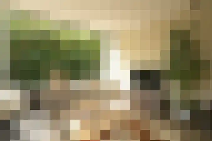 Abdis Johannastraat 28 Den Haag thumbnail 37