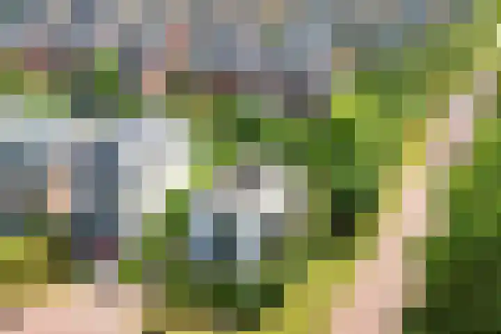 Abdis Johannastraat 28 Den Haag thumbnail 4