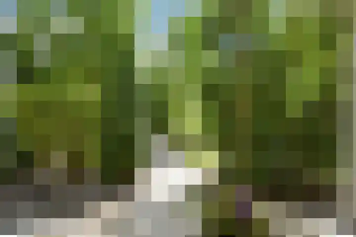 Abdis Johannastraat 28 Den Haag thumbnail 40