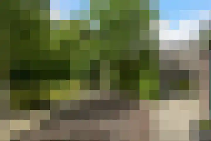 Abdis Johannastraat 28 Den Haag thumbnail 41
