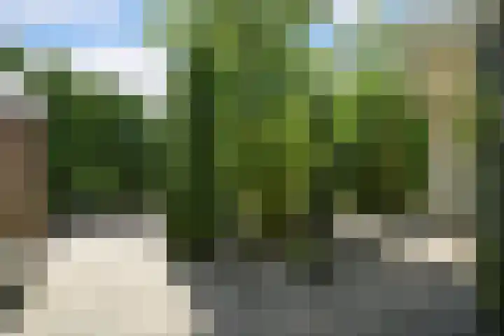 Abdis Johannastraat 28 Den Haag thumbnail 42