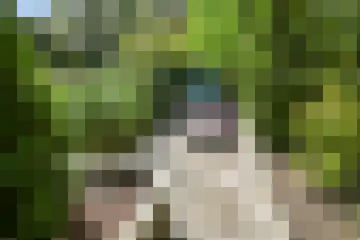 Abdis Johannastraat 28 Den Haag thumbnail 43