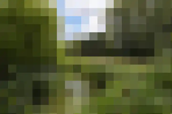 Abdis Johannastraat 28 Den Haag thumbnail 44