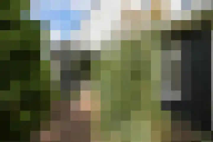 Abdis Johannastraat 28 Den Haag thumbnail 47