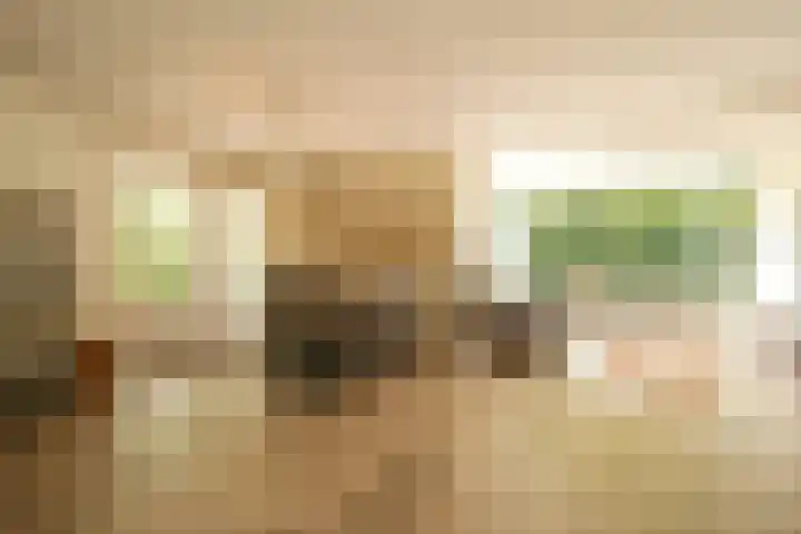 Abdis Johannastraat 28 Den Haag thumbnail 8