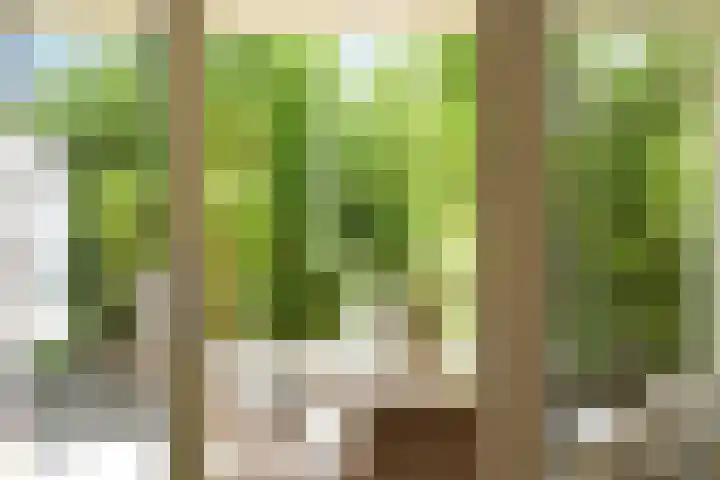 Abdis Johannastraat 28 Den Haag thumbnail 9