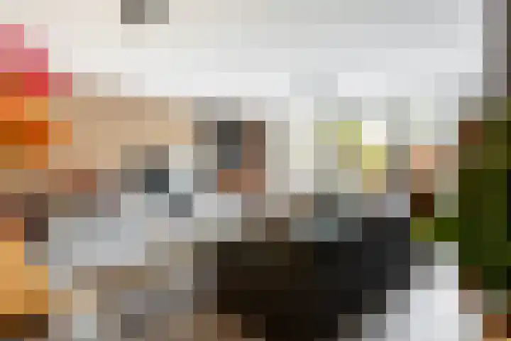 Abdis Johannastraat 29 Den Haag thumbnail 11