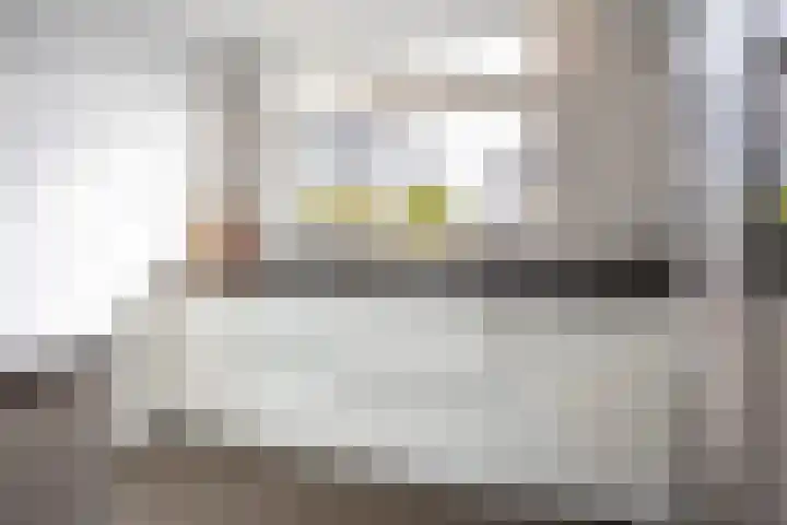 Abdis Johannastraat 29 Den Haag thumbnail 17