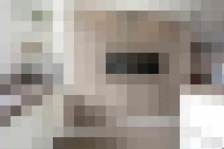 Abdis Johannastraat 29 Den Haag thumbnail 19