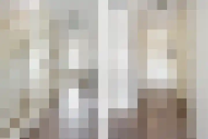 Abdis Johannastraat 29 Den Haag thumbnail 22