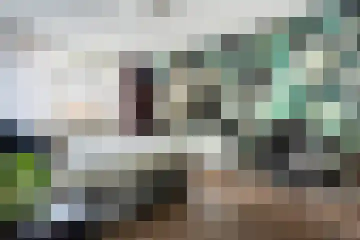 Abdis Johannastraat 29 Den Haag thumbnail 23