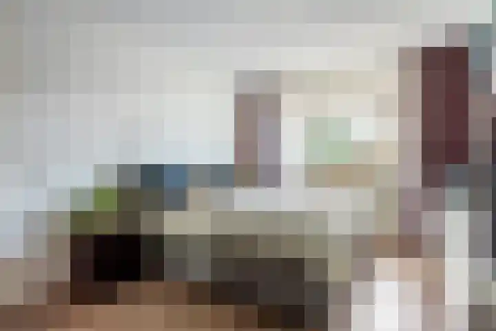 Abdis Johannastraat 29 Den Haag thumbnail 24
