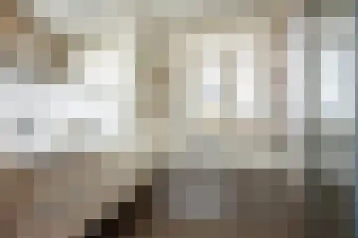 Abdis Johannastraat 29 Den Haag thumbnail 25