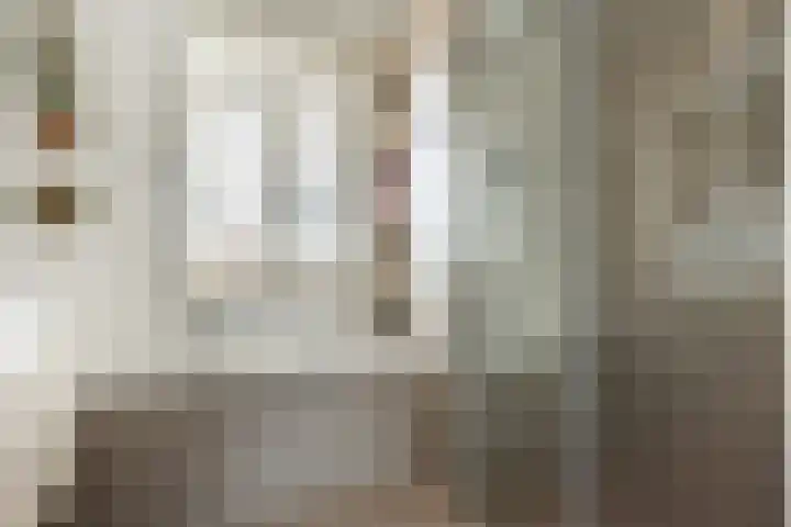 Abdis Johannastraat 29 Den Haag thumbnail 26