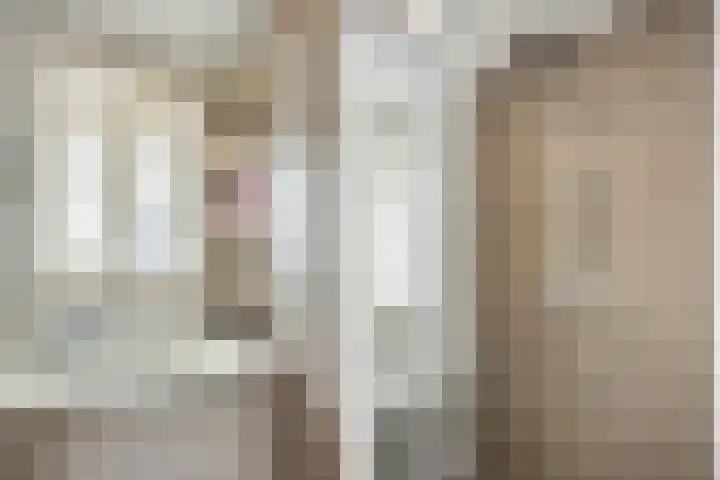 Abdis Johannastraat 29 Den Haag thumbnail 27