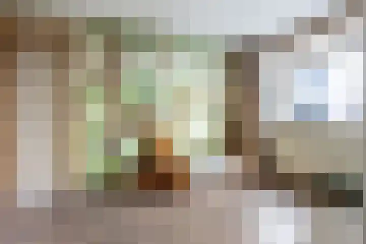 Abdis Johannastraat 29 Den Haag thumbnail 29